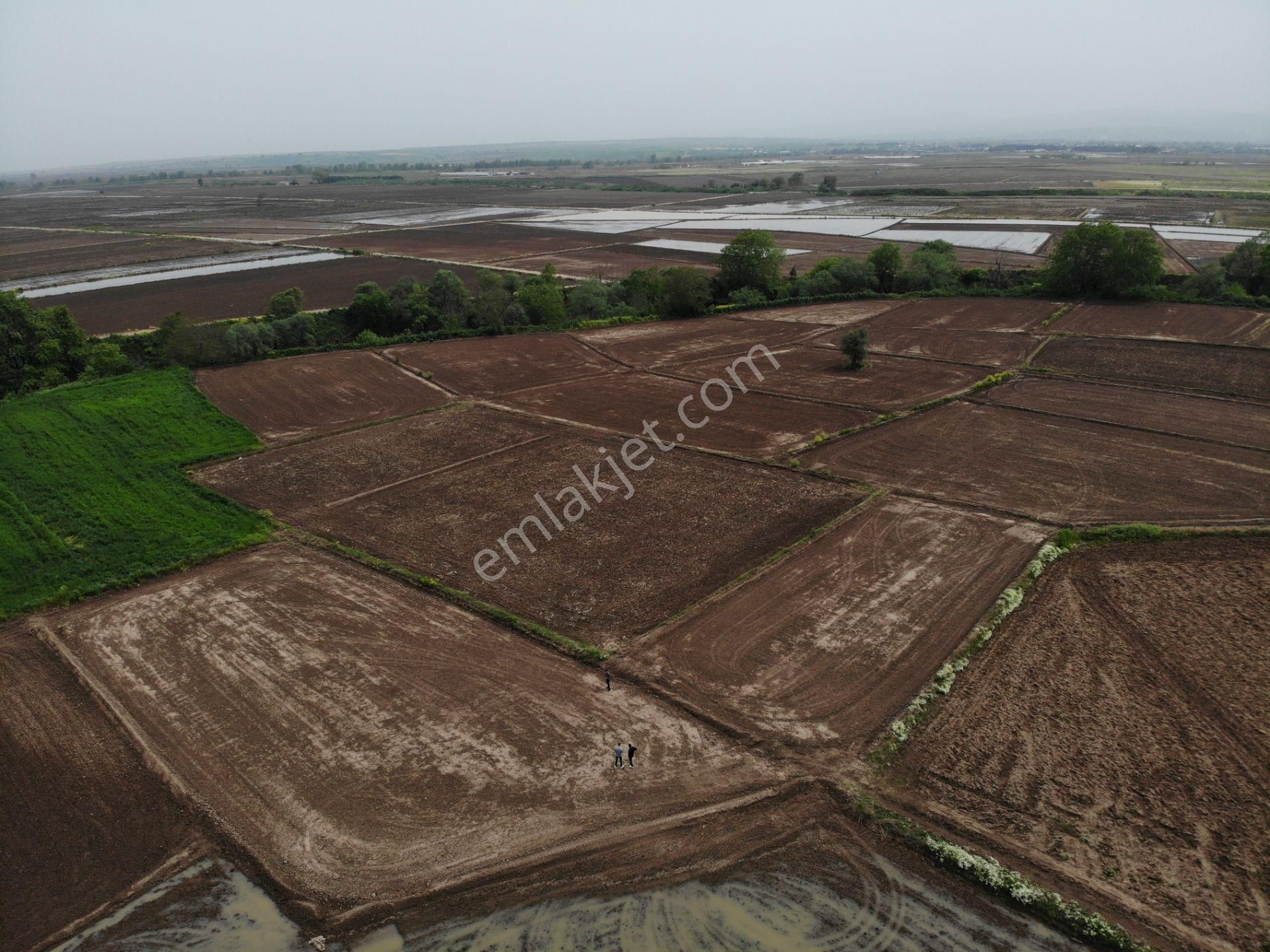 Biga Güleç Köyü Satılık Tarla  ÇANAKKALE BİGA GÜLEÇ KÖY 2.529 M2 SATILIK TARLA