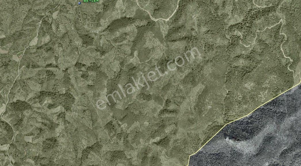 110-beyler De Yağ Verimim Yüksek Zeytinlik - Görsel 3