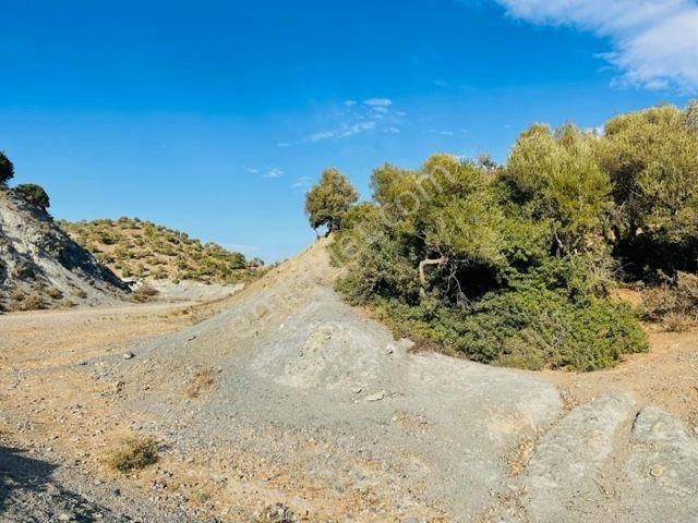 113-baraj Kenarında 2 Tapu Manzaralı Arazi - Görsel 28