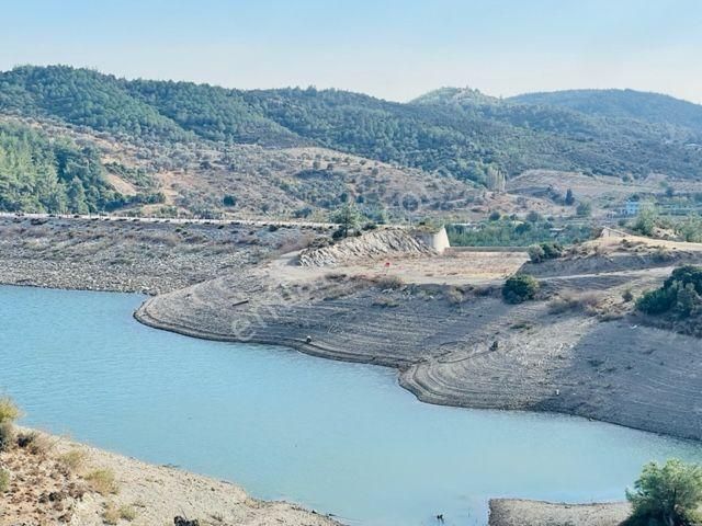 Seferihisar Beyler Satılık Zeytinlik  113-baraj kenarında 2 tapu manzaralı arazi