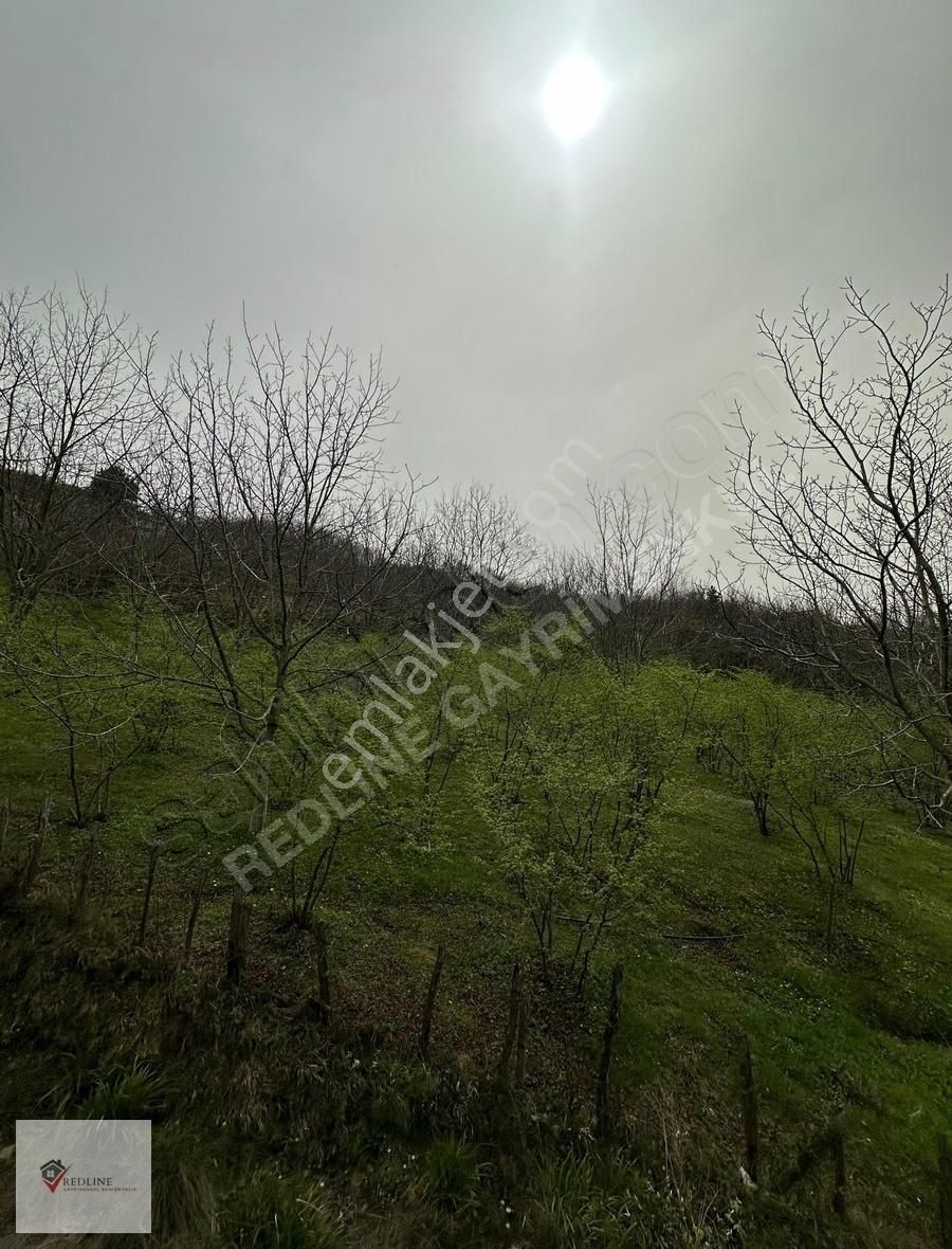 Geyve Örencik Satılık Villa Sakarya Fındıksuyu Villaları Doğa Manz. 2 Adet 3+1 Satılık Villa