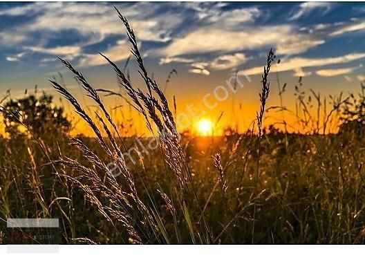 Pamukkale Karakurt Satılık Tarla KARAKURT YOLU ÜZERİNDE İÇİNDE EVİ BULUNAN EMSALSİZ TARLA