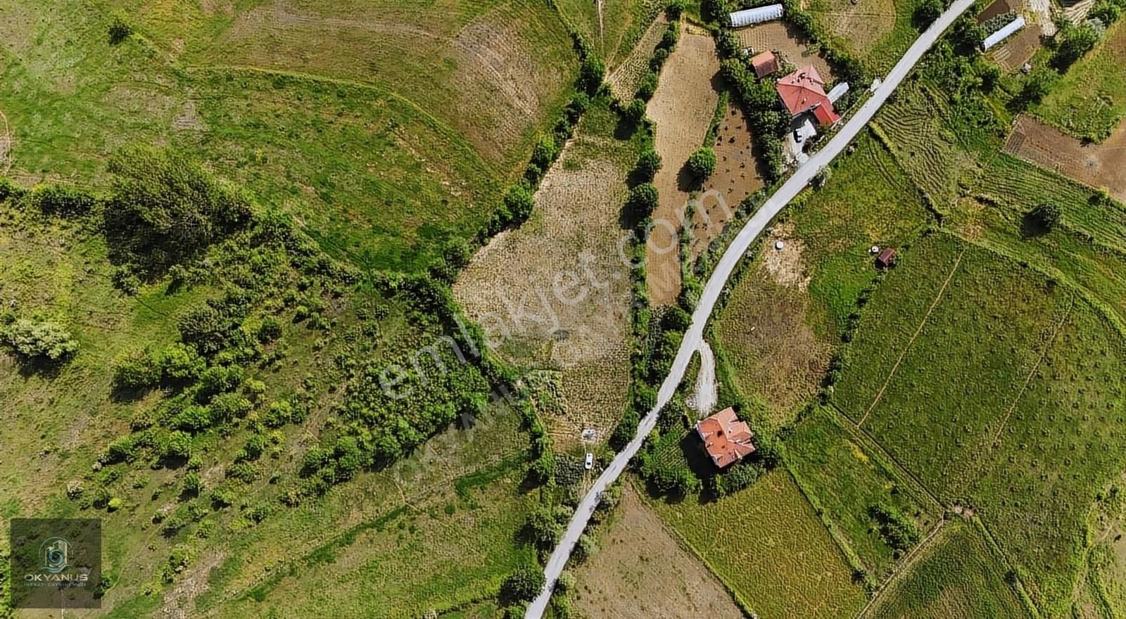 Bartın Merkez Terkehatipler Köyü (Bacaklar) Satılık Konut İmarlı Okyanus'dan Bartın Terkehatipler de 5105 M² Satılık İmarlı Arsa