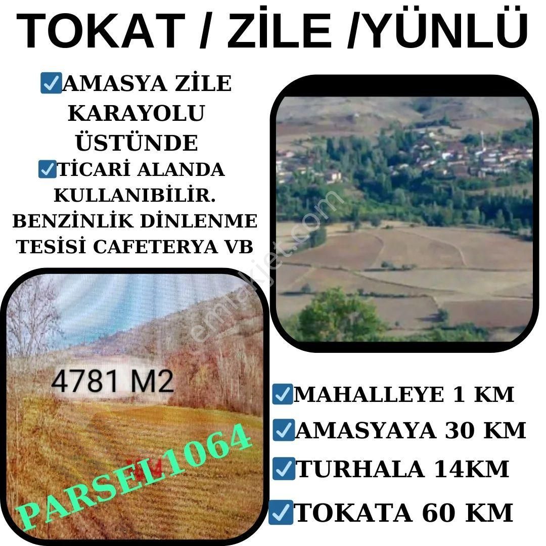 Zile Yünlü Köyü Satılık Tarla AMASYA ZİLE KARAYOLU ÜSTÜNDE TİCARİ ALANDADA KULLANILABİLİR KAÇIRILMAYACAK FIRSAT ARAZİ❗