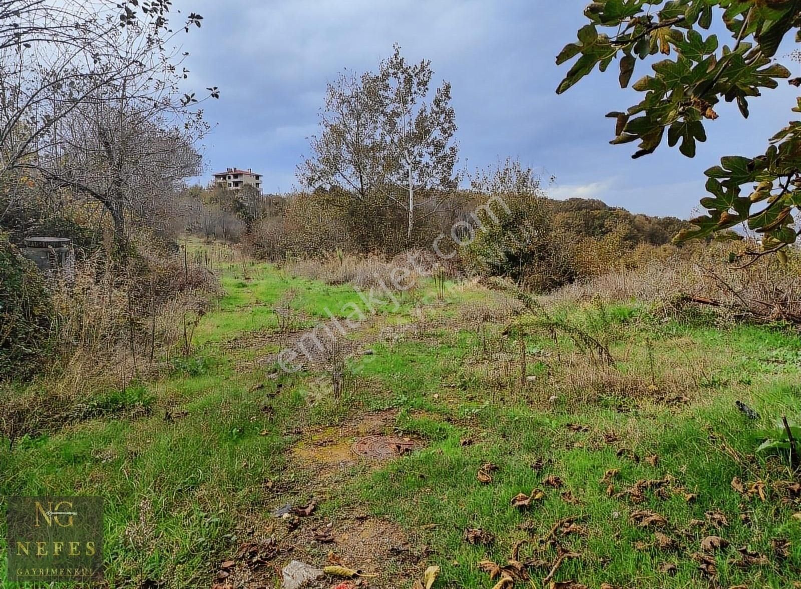 Beykoz Baklacı Satılık Villa İmarlı NEFES'DEN ÇAVUŞBAŞI BAKLACI'DA 4 VİLLALIK İMARLI ARSA