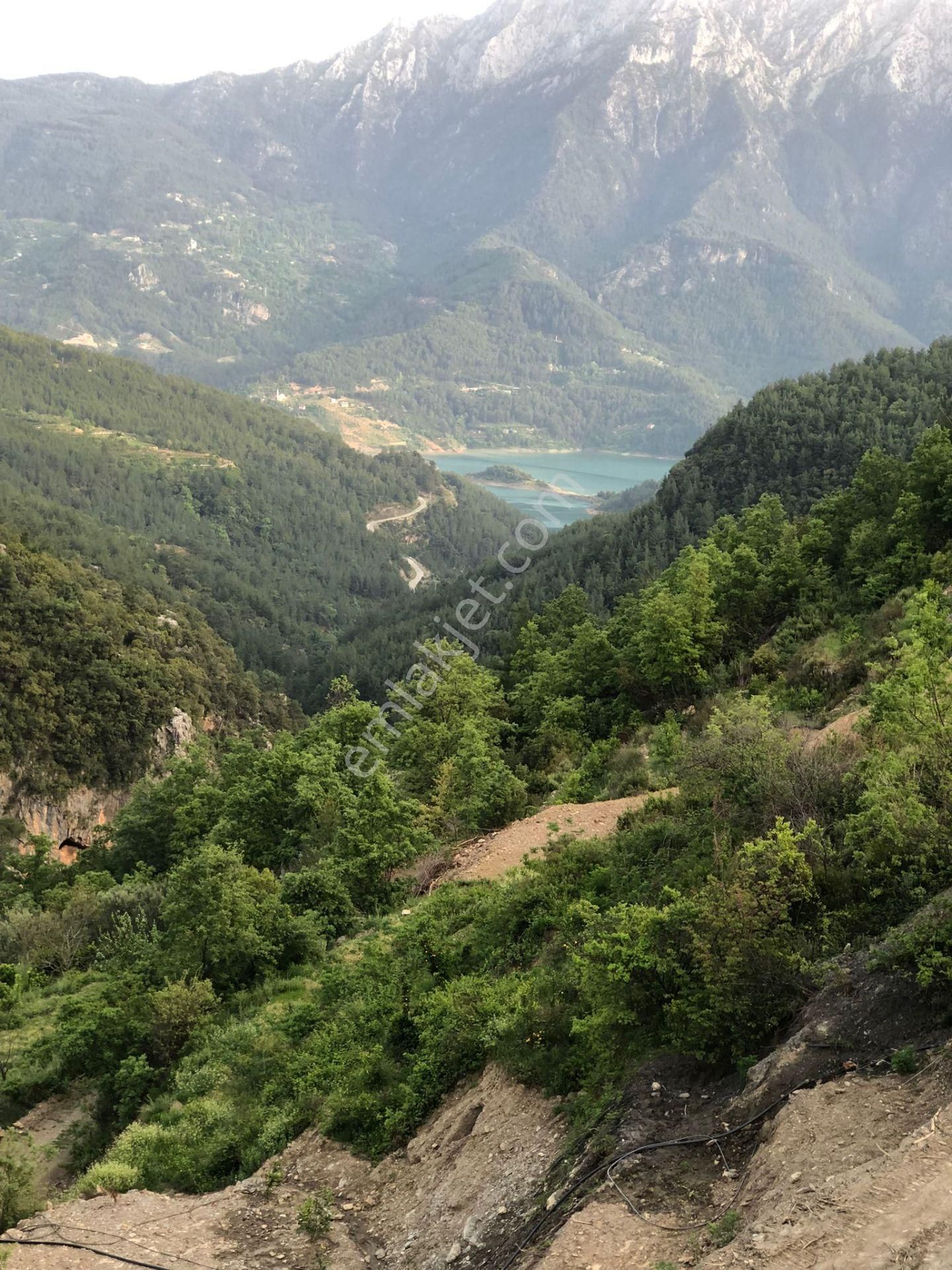 Alanya Uğurlu Satılık Tarla  ALANYA UĞURLU'DA SATILIK 1700M2 BARAJ GÖREN HARFİYATTI YAPILMIŞ TARLA