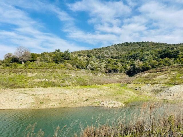 120-baraj Kenarında Ormana Cepheli Ulaşımı Kolay Zeytinlik - Görsel 30