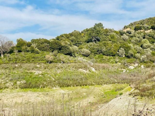 120-baraj Kenarında Ormana Cepheli Ulaşımı Kolay Zeytinlik - Görsel 26