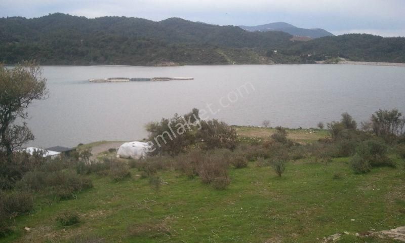 133-baraj Manzaralı Zeytinlik - Görsel 8
