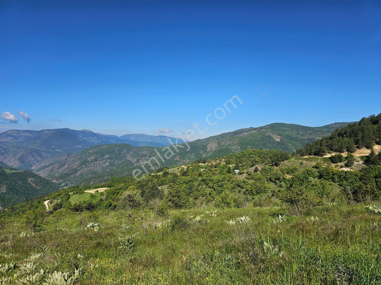 Bolu Mudurnu Karapınarkavağı Da Satılık Tarla