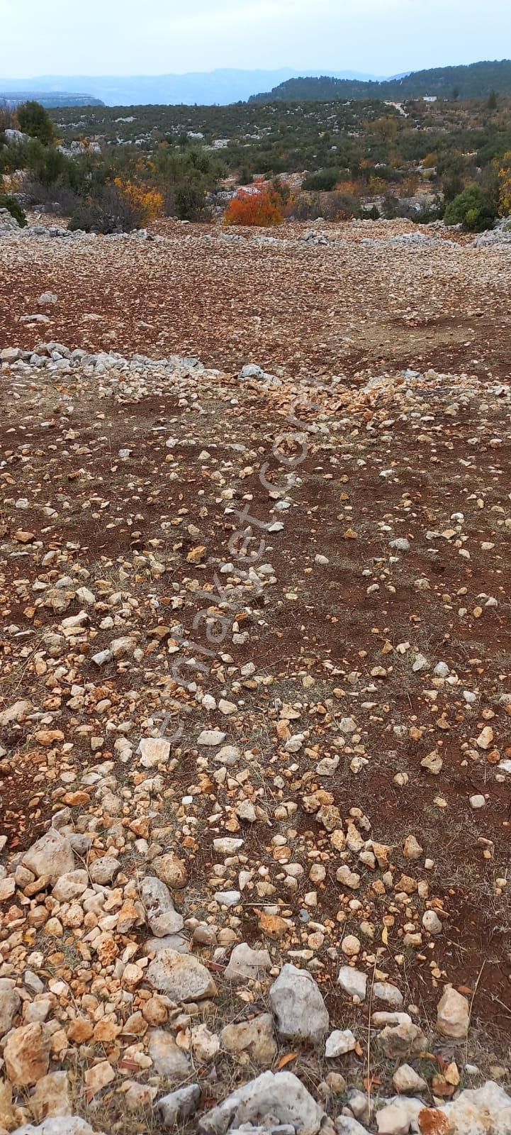 Eskiyörük Köyüne Yakın 20 Dönüm Tarla - Görsel 5