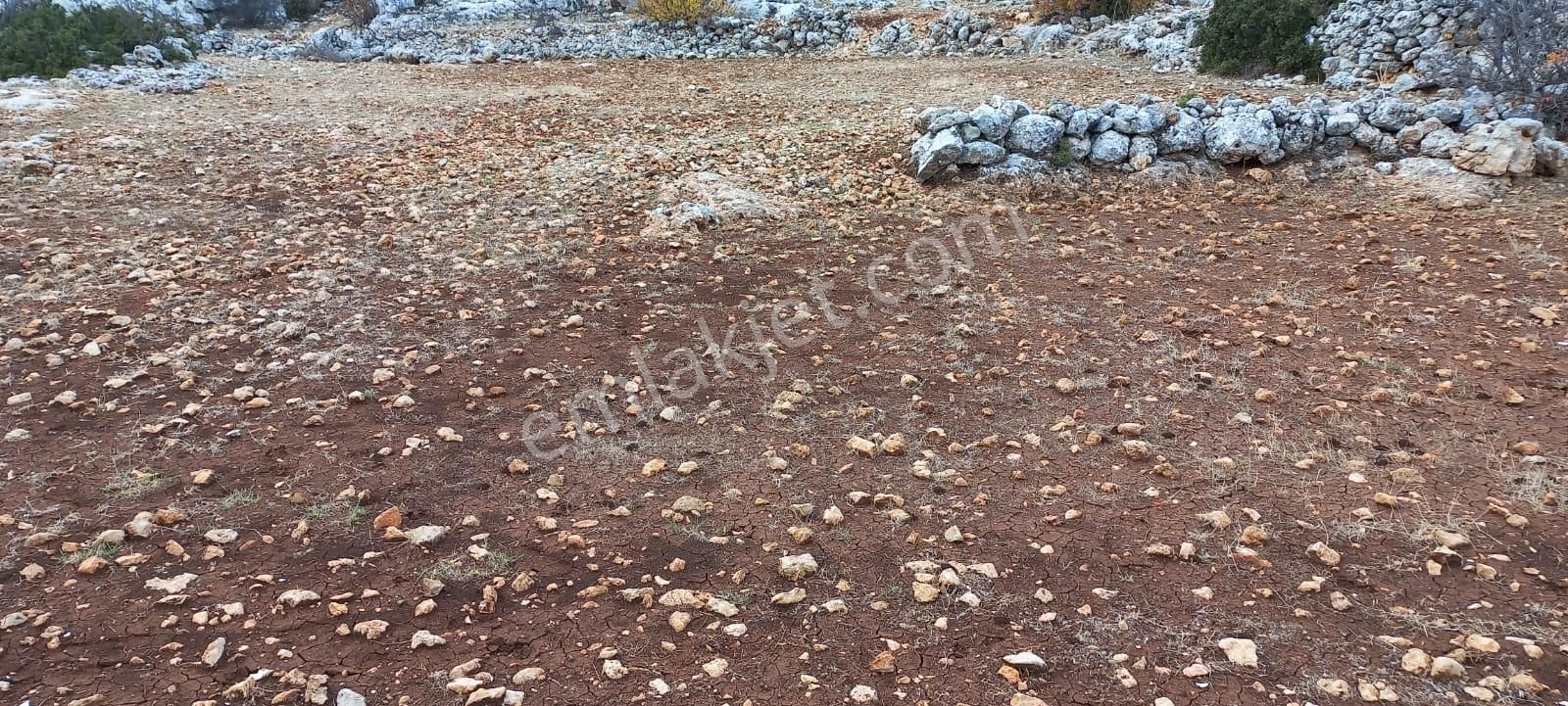 Eskiyörük Köyüne Yakın 20 Dönüm Tarla - Görsel 3