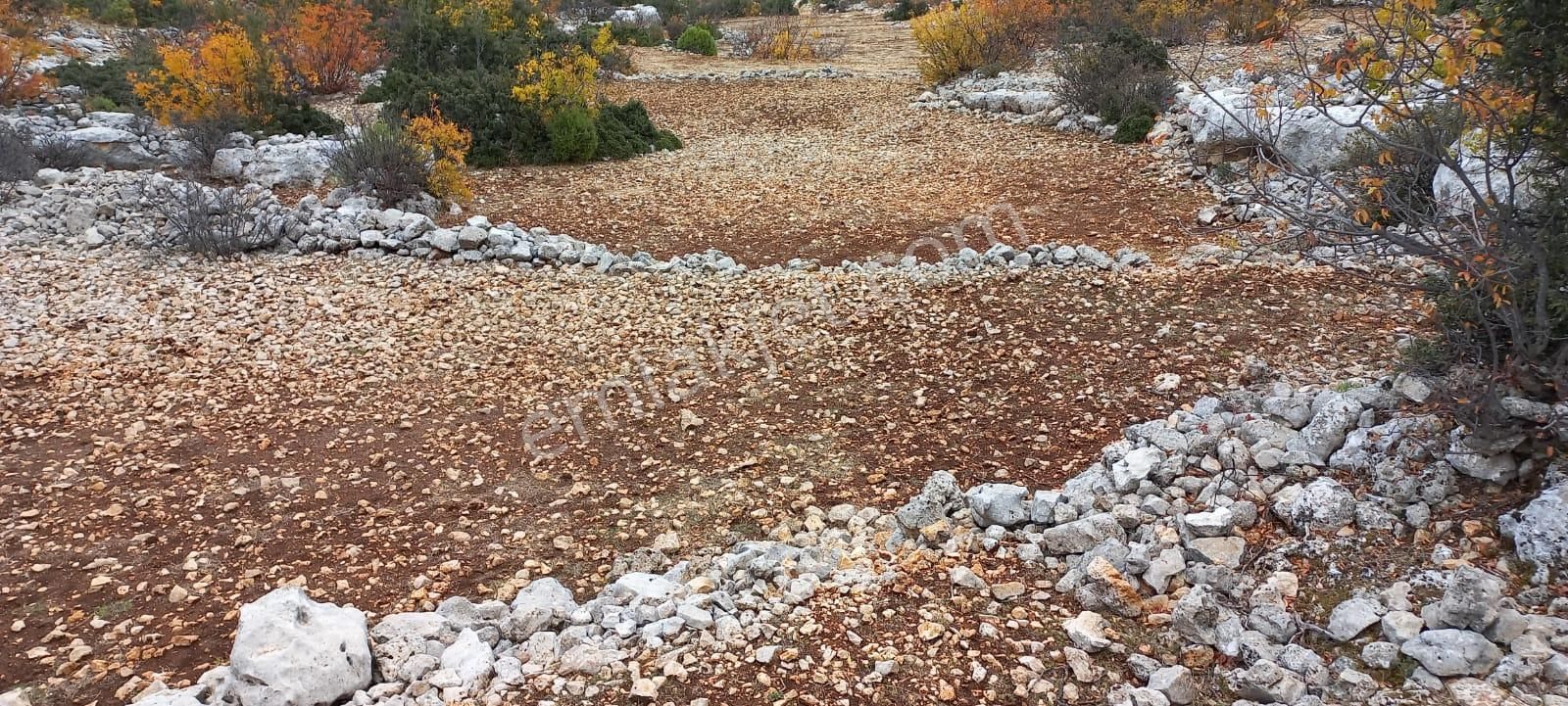 Eskiyörük Köyüne Yakın 20 Dönüm Tarla - Görsel 8