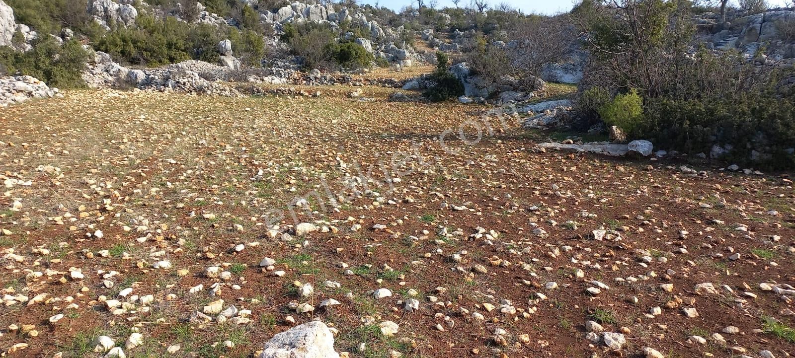 Aydıncık Eskiyürük Satılık Tarla Eskiyörükte Anayola Yakın Müstakil Tapu 14 Dönüm