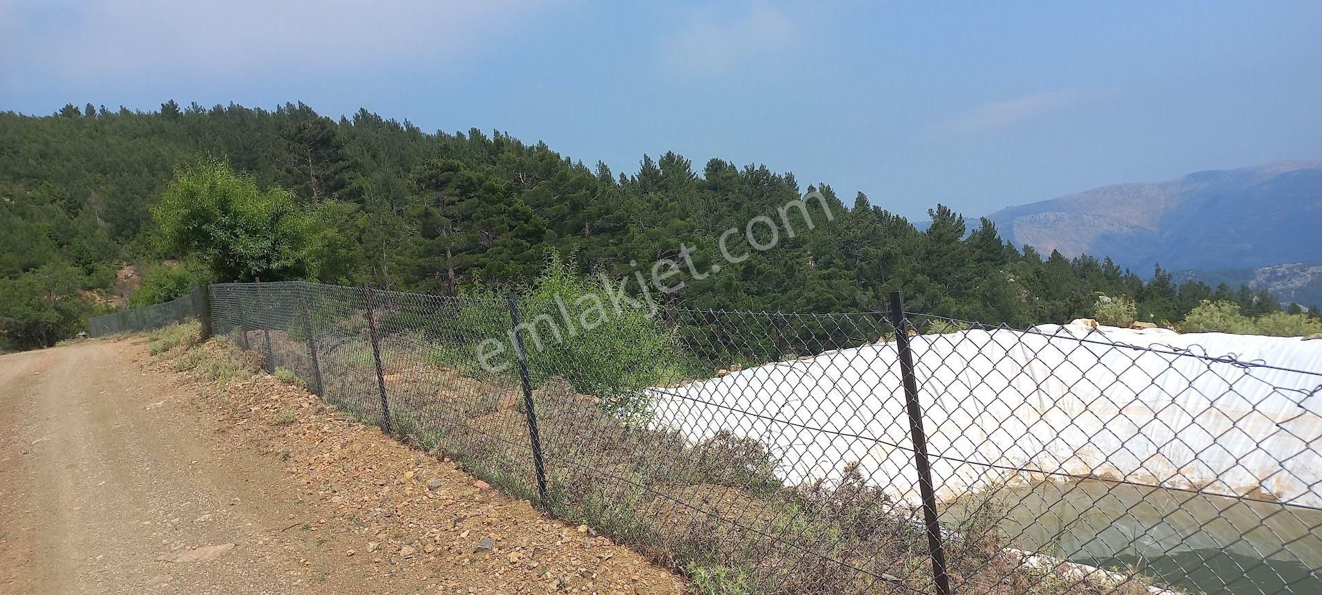 Pembecikte Müstakil Tapu 1058 M² - Görsel 4