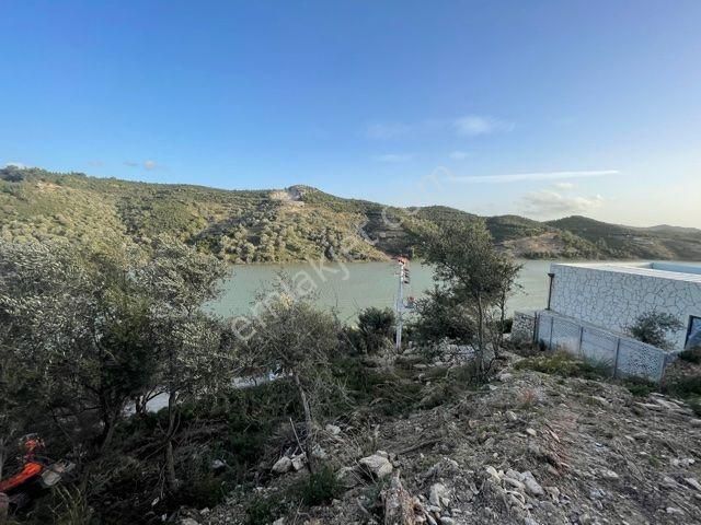 134- Baraj Manzaralı Asfalt Cepheli Tel İle Çevrili Zeytinlik - Görsel 14