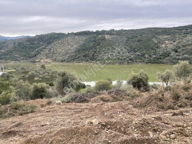 134- Baraj Manzaralı Asfalt Cepheli Tel İle Çevrili Zeytinlik - Görsel 31