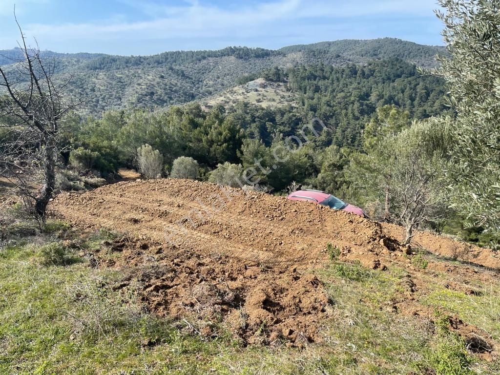 151-baraj Ve Deniz Manzaralı Ormana Cepheli Resmi Yollu Zeytinlik - Görsel 31