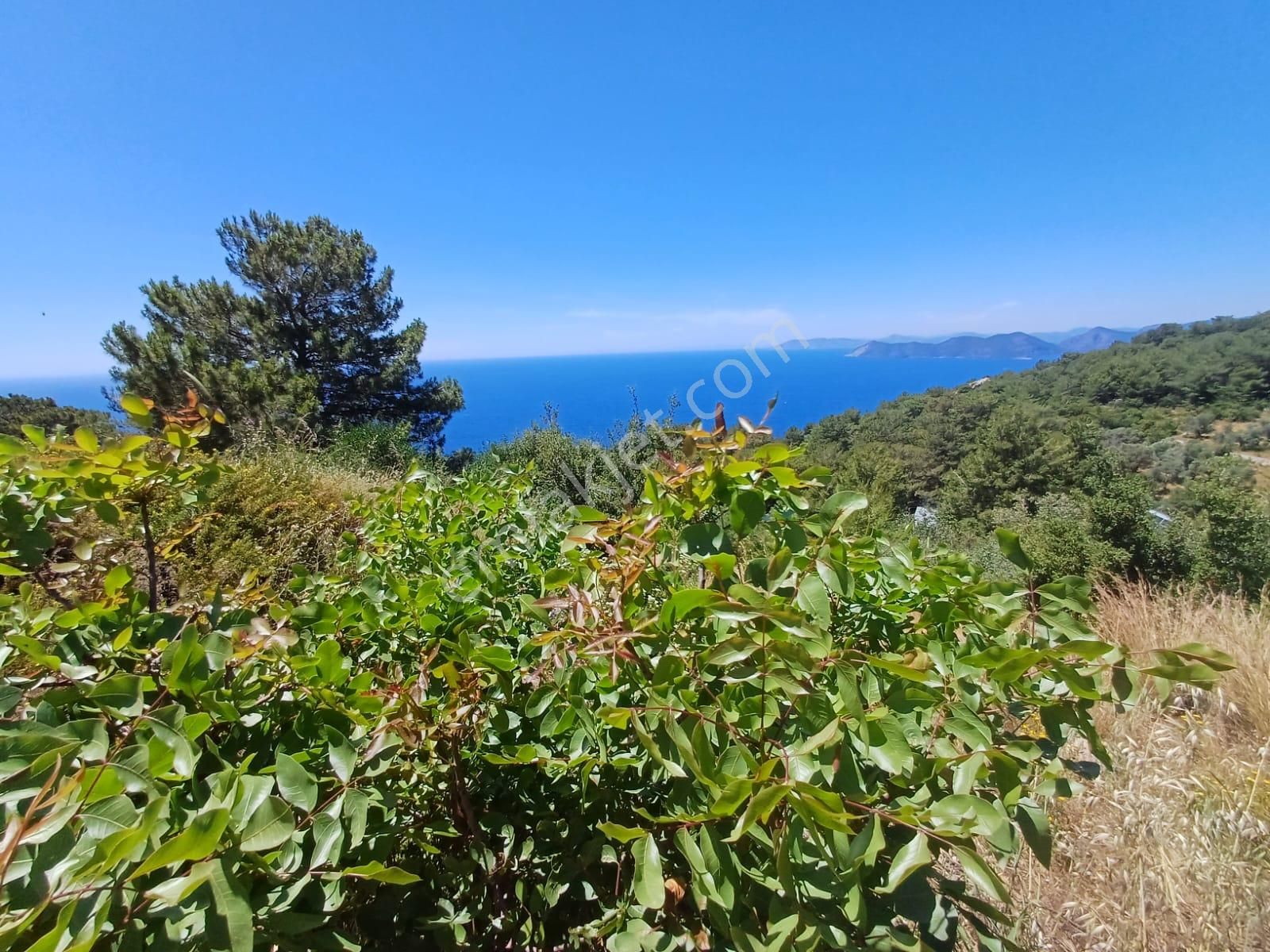 Stop’tan Fethiye Faralya’da 2.900m² Köy İçi İmarlı 2 Adet Arsa - Görsel 5