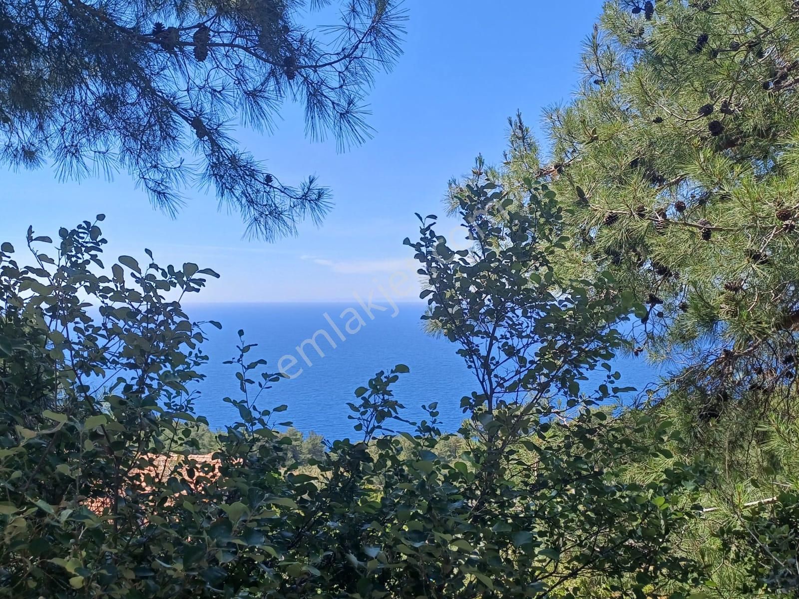 Stop’tan Fethiye Faralya’da 2.900m² Köy İçi İmarlı 2 Adet Arsa - Görsel 4