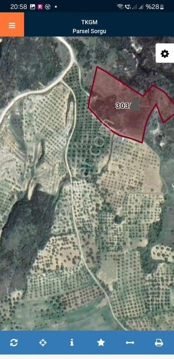 Şarköy Tepeköy Mah. 12. Dönüm Uygun Fiyat Deniz Manzaralı Tarla