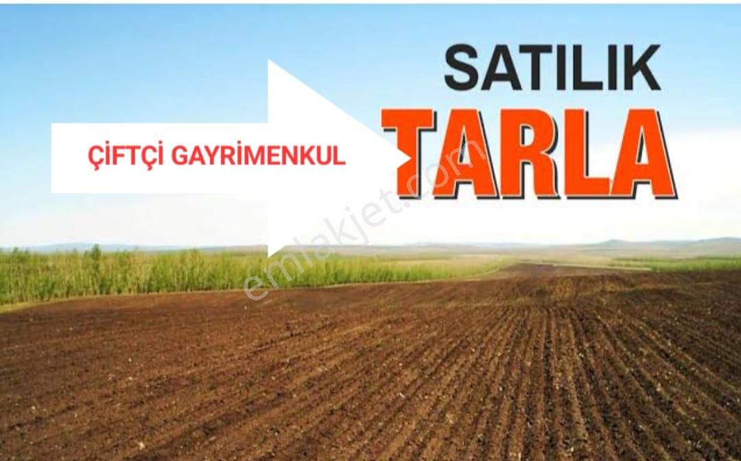 Ayaş Oltan Satılık Tarla  ANKARA AYAŞ OLTAN YENİMAHALLE 6500 m2 TAPU TARLA