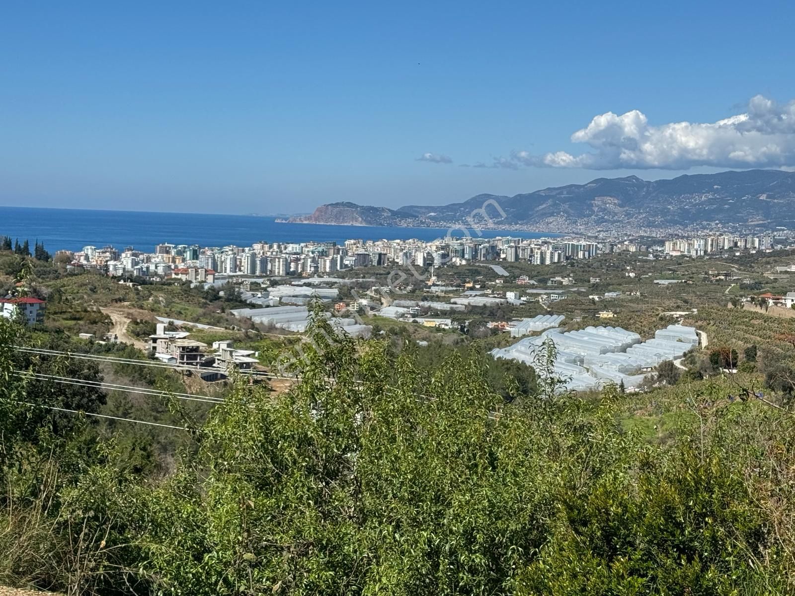 Alanya Kargıcak Satılık Villa İmarlı  DALKILIÇ KARGICAK ALANYA TURKEY SATILIK VİLLA ARSA 714 M2