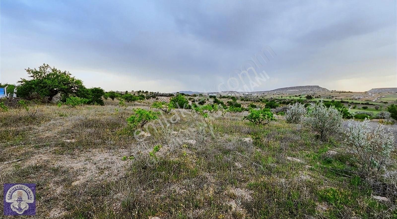 Nevşehir Merkez Nar Bld. (Yeni) Satılık Bağ & Bahçe KEPEZ MEVKİİNDE YOLA CEPHELİ/ELK. YANINDA SATILIK ARAZİ