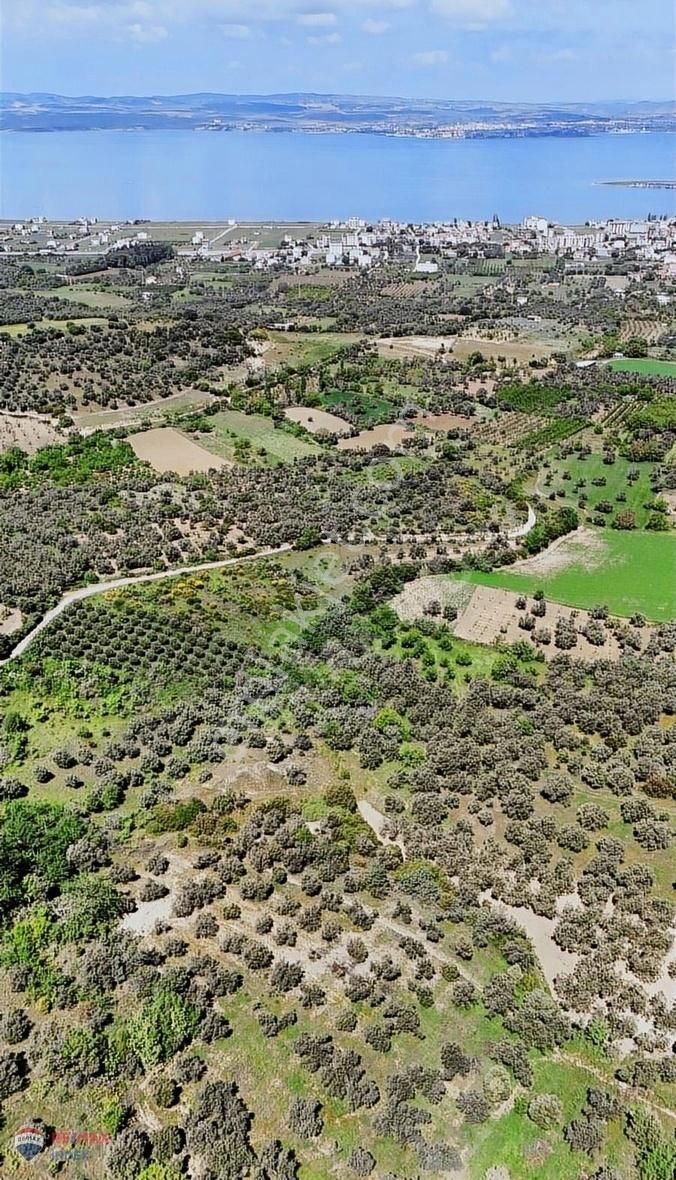 Lapseki Çardak Bld. (Gaziyakupbey) Satılık Bağ & Bahçe ÇANAKKALE LAPSEKİ ÇARDAK'TA SATILIK ARAZİ