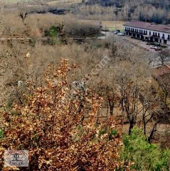 Çan Bardakçılar Köyü (Kaplıcalar) Satılık Tarla ÇAN BARDAKÇILAR KAPLICASI YANI 2 DÖNÜM KAVAKLIK