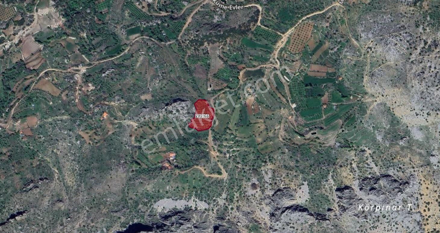 Asya Evim Gayrimenkulden Yeşilbaşköyde Satılık Hobi Bahçesi - Görsel 21