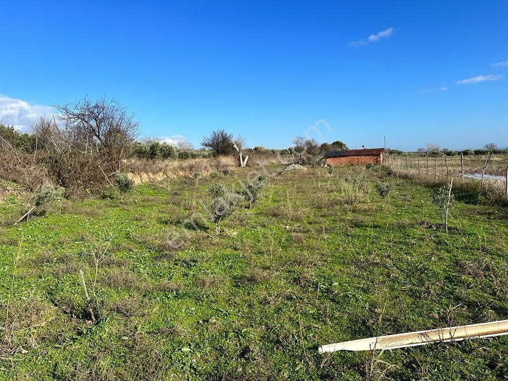Şarköy Kizilcaterzi Mah.900 M2 İmarlı 1.550.000 Tl Arsa