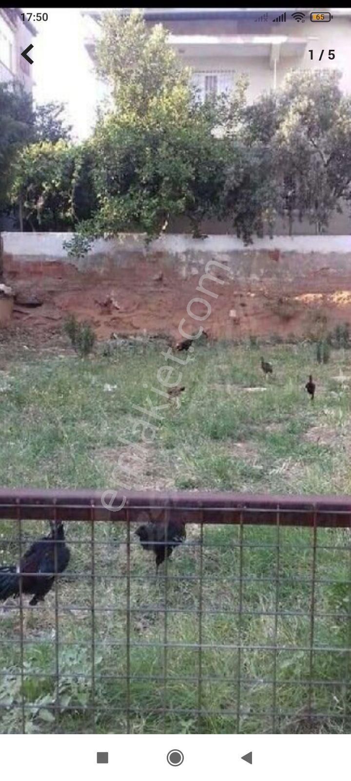 Ayko Yolunda### Açıklamaya Dikkat Kiralık Arsa - Görsel 6