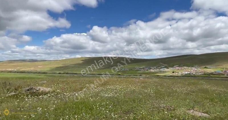 Ardahan Merkez Yukarıkurtoğlu Köyü Satılık Tarla Yukarıkurtoğlu Köyü, Müstakil Tapu, 3.353 m2 Şartlı İmarlı Tarla