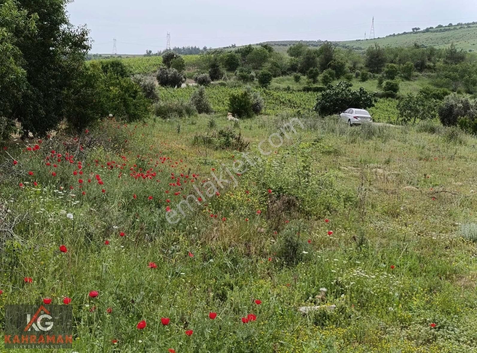 Toroslar Doruklu Satılık Bağ & Bahçe TOROSLAR DORUKLU' DA ANA YOLA YAKIN SATILIK ARAZİLER