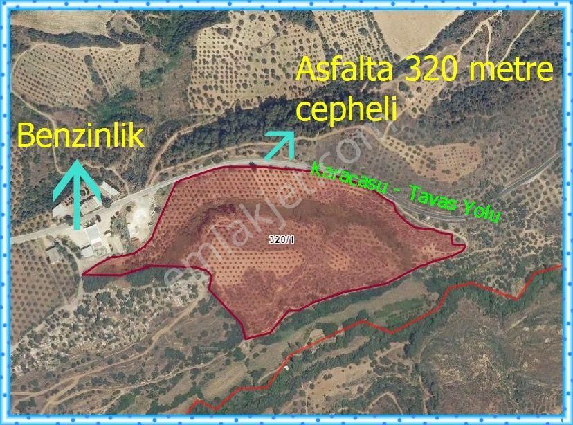 Karacasu Tavas Asfalt Yola Cepheli, Yatırımlık Zeytinlik.. - Görsel 11