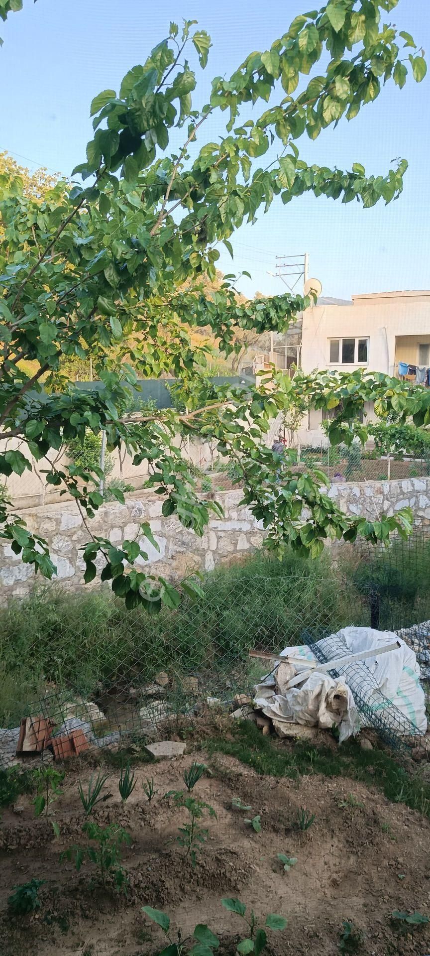 Seferihisar Orhanlı Köyünde Satılık Müstakil Ev Ve Bahçe - Görsel 20