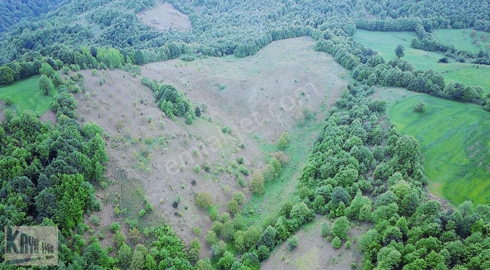 Yenice Taban Köyü Satılık Tarla KAYA EMLAK DAN 48750 M2 TARLA