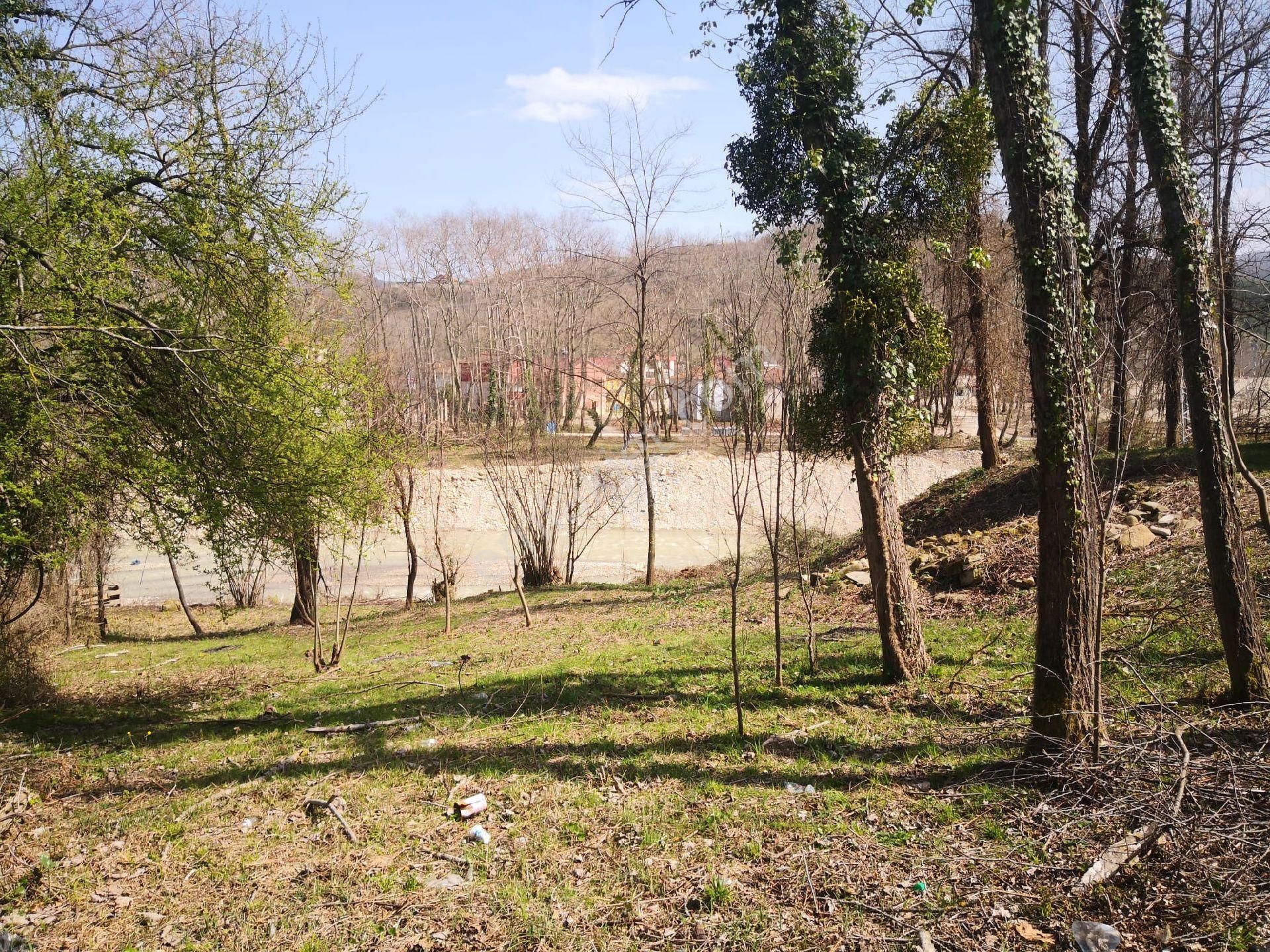 Türkeli Düzler Köyü (Yılanlık) Satılık Bağ & Bahçe  İlçe Merkezine 3 Dakika Mesafede