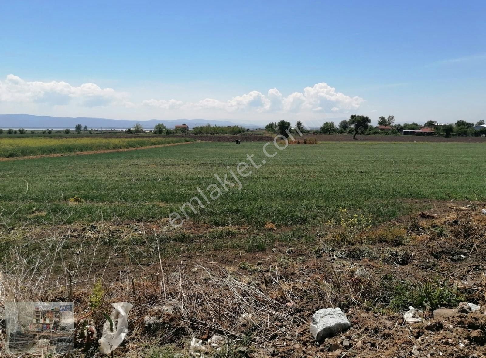 Karacabey Gölkıyı Satılık Tarla Src Emlaktan Bursa Karacabey Gölkıyı Mah.de Tek Tapu Yatırımlık