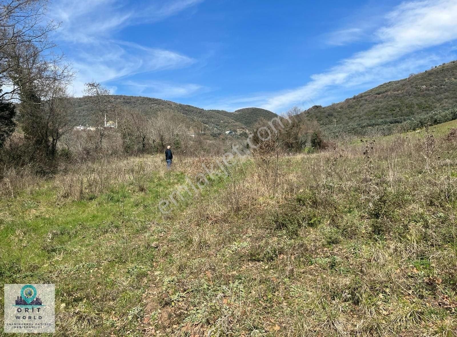 Mudanya Mirzaoba Satılık Tarla MÎRZAOBADA 1850 m2 TEK TAPU HOBÎ BAHCESÎ VE TARLA SATILIKTIR