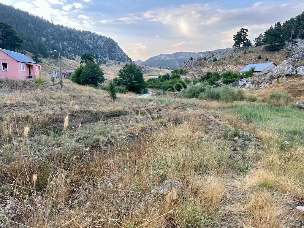 Alanya Karapınar Satılık Tarla ALANYA SÖGÜT YAYLASI KARAPINAR'DA SATILIK 4.670 M2 DOĞA İLE İÇ İÇE TARLA