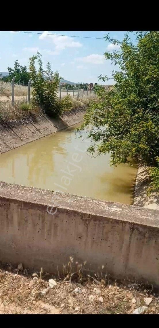 Çal Kocaköy Satılık Bağ & Bahçe FİYAT DÜŞTÜ ÇAL KOCAKÖY'DE YATIRIMA UYGUN 4,107 M2 TARLA SATILIKTIR