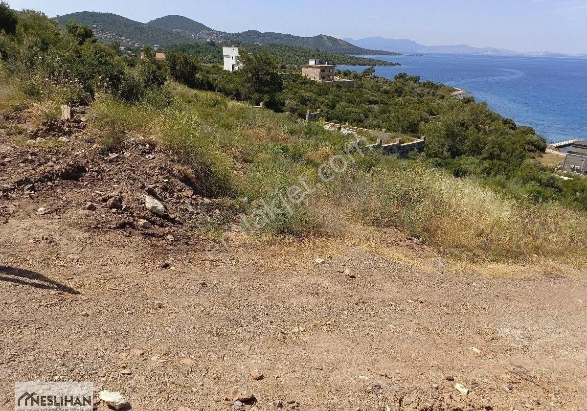 Milas Kıyıkışlacık Satılık Zeytinlik MİLAS KIYIKIŞLACIK'TA DENİZ'E KOMŞU ULAŞIM SIKINTISI OLMAYAN ARSAMIZ SATILIKTIR