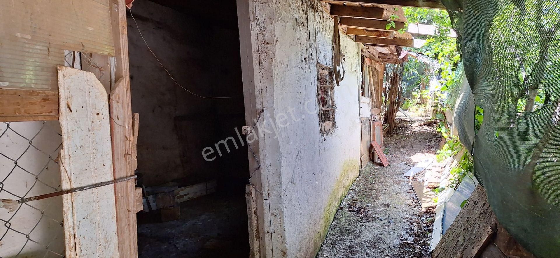 Sarıyer Hacıosman'da Satılık Müstakil Bahçeli Ev - Görsel 9