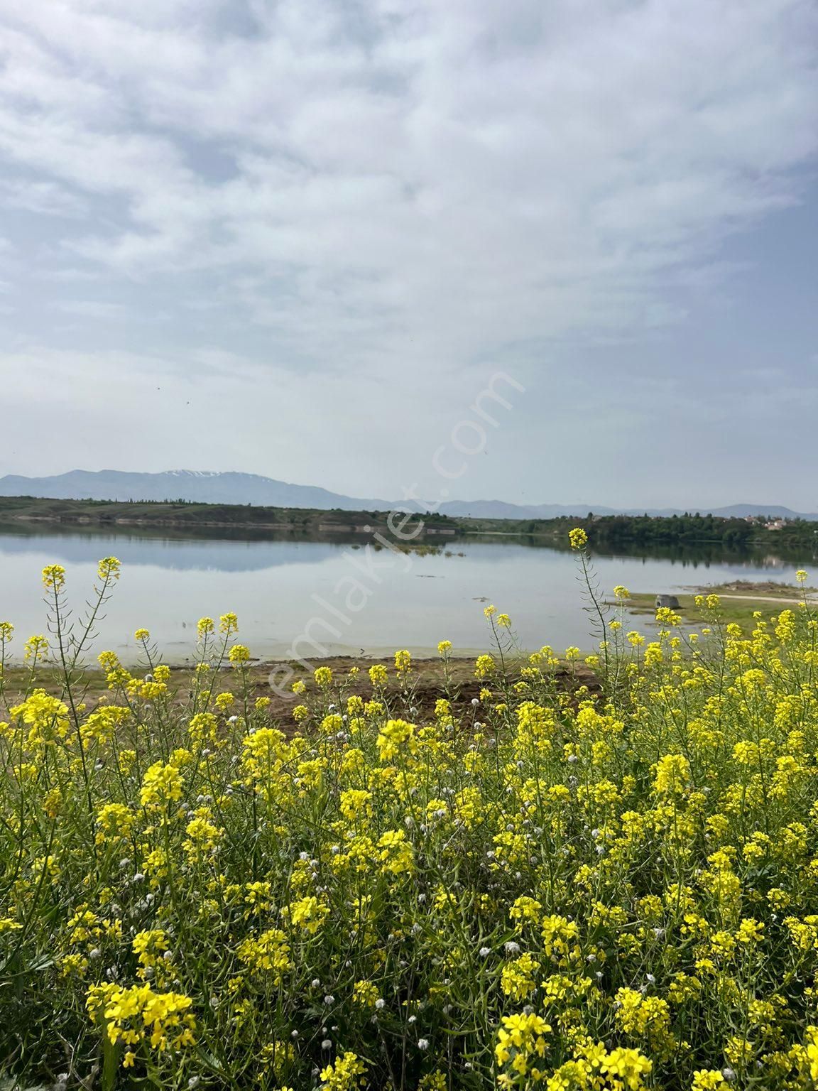 Yazıhan Sürür Satılık Bağ & Bahçe YAZIHAN SATILIK TARLA