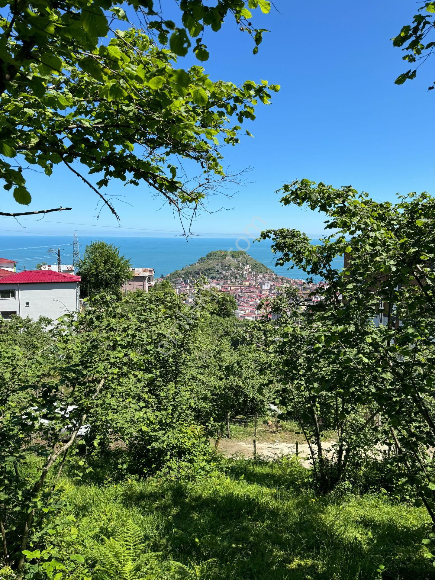 Giresun Merkez Seldeğirmeni Satılık Konut İmarlı  HASAN HÜSEYİN İNANÇ GAYRİMENKULDEN SELDEĞİRMENİ MAHALLESİNDE İMARLI 1.900 M2 ARSAMIZ SATILIYOR