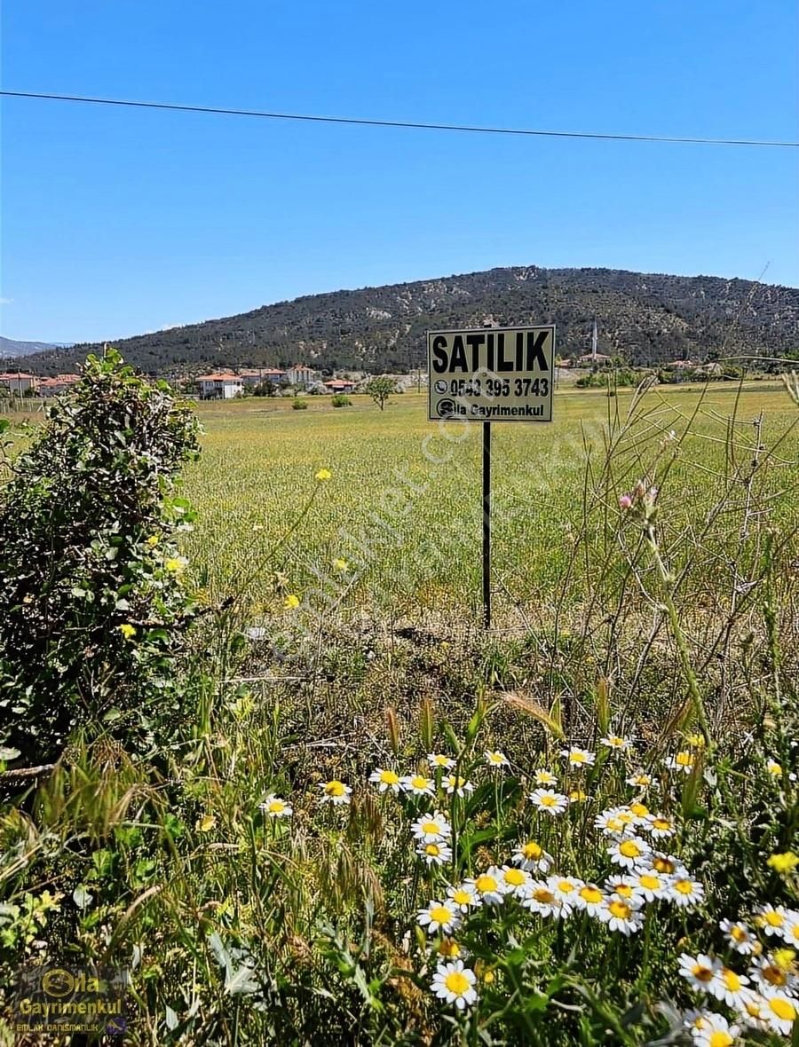 Osmancık Çay Satılık Konut İmarlı Sıla GAYRİMENKULDEN 8045M2.İMAR İÇİNDE VE 4 KAT İMARLI TARLA