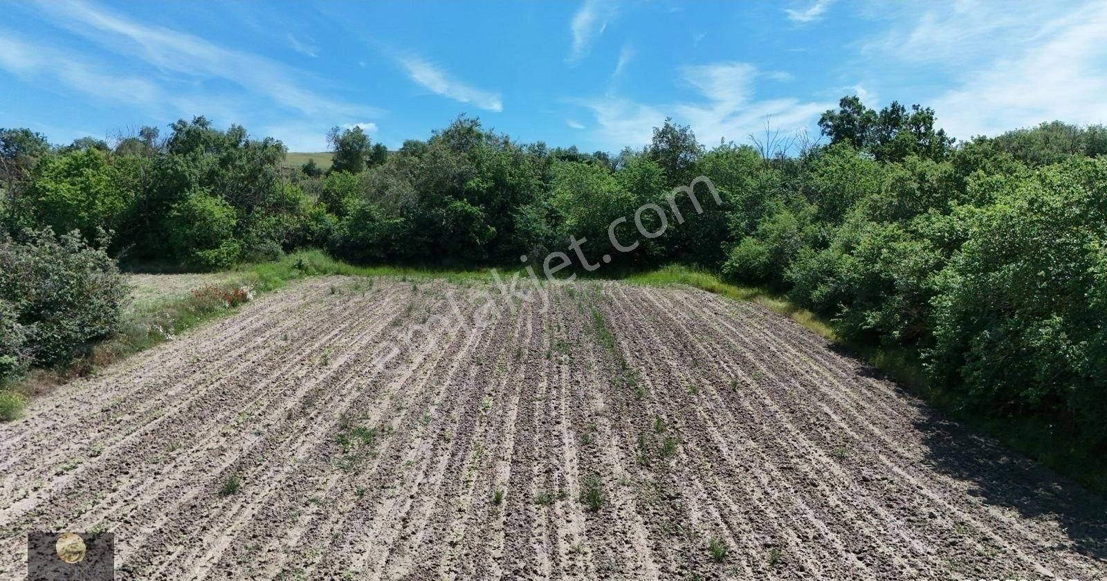 Edirne Merkez Hıdırağa Köyü Satılık Bağ & Bahçe Edirne Hıdırağa Köyünde Satılık Tarla, Yol Su Elektrik Var