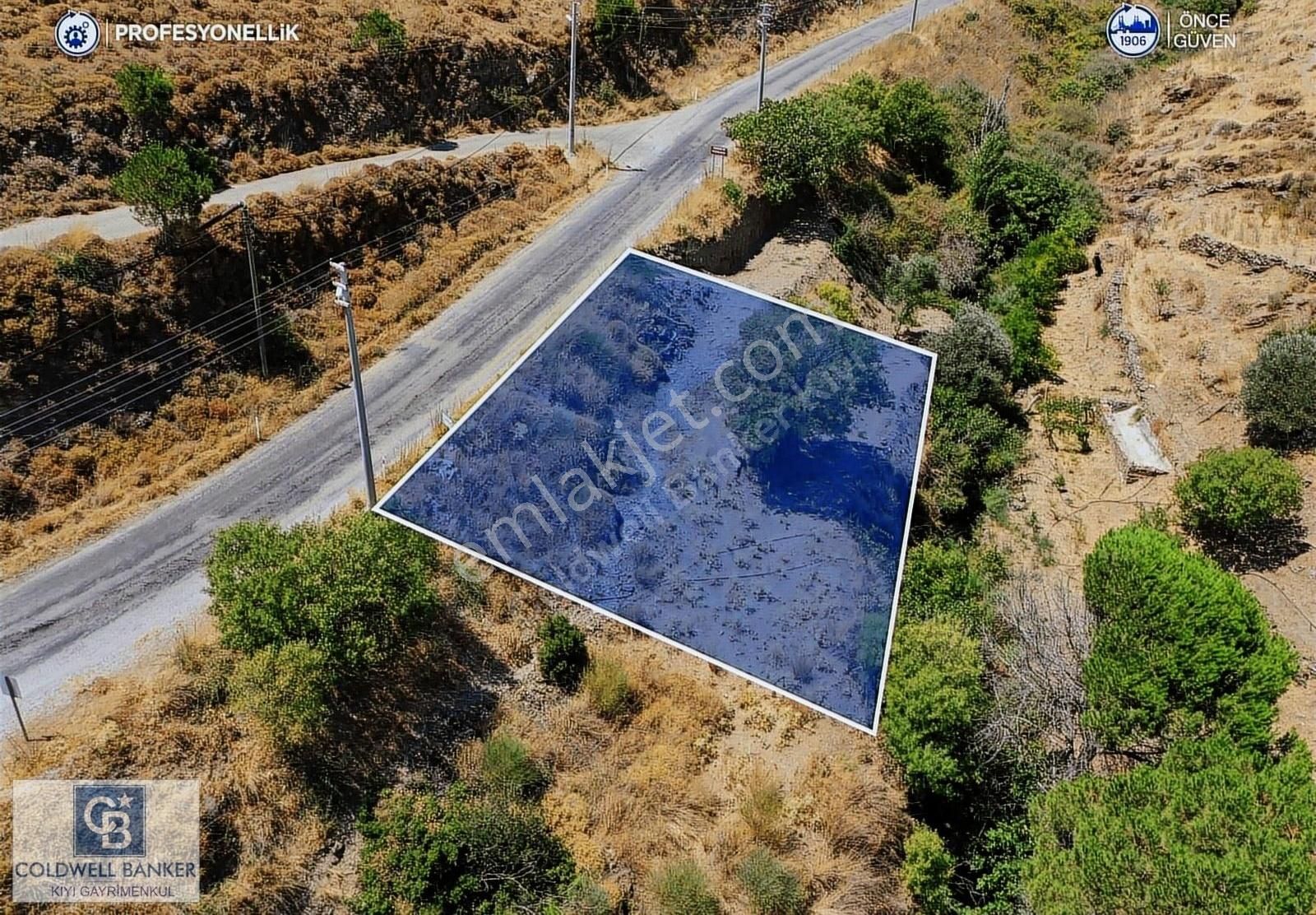 Karaburun Hasseki Satılık Tarla Karaburun Hasseki Köy İçinde Yola Cepheli Tarla